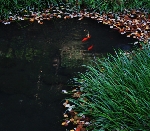 IMG_8845a.jpg